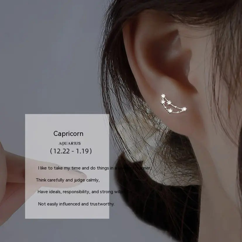 S925 Sterling Silver Constellation Stud Earrings