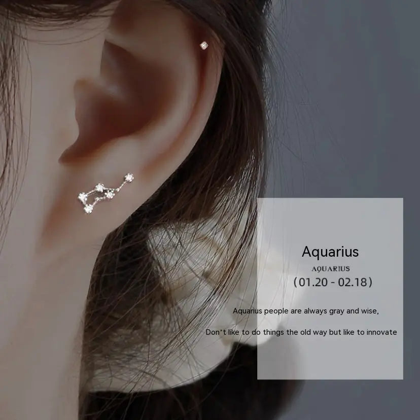 S925 Sterling Silver Constellation Stud Earrings