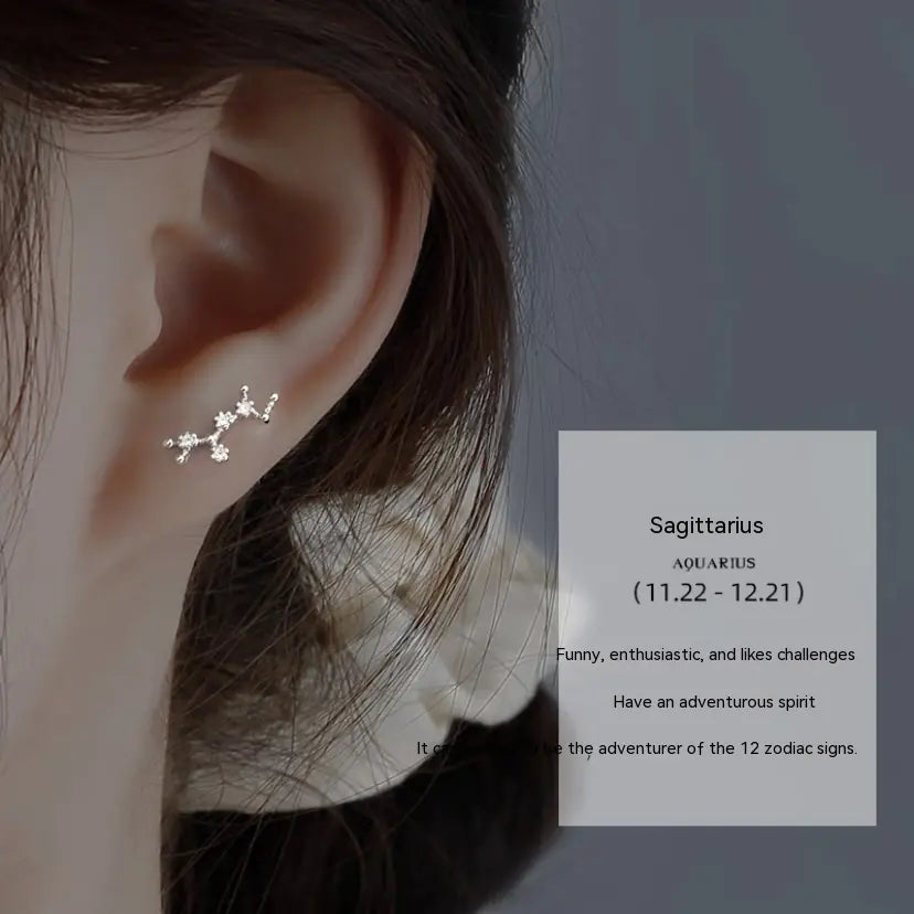 S925 Sterling Silver Constellation Stud Earrings