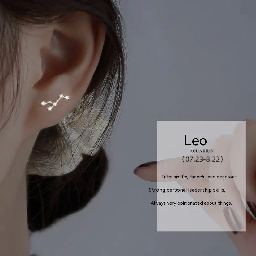 S925 Sterling Silver Constellation Stud Earrings