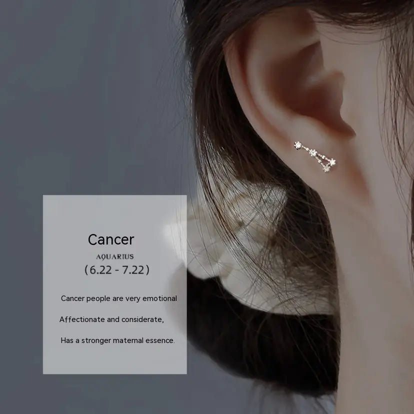 S925 Sterling Silver Constellation Stud Earrings