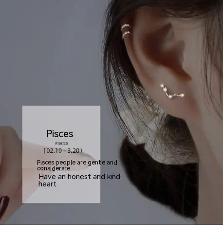 S925 Sterling Silver Constellation Stud Earrings